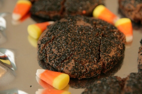 cowpatties2