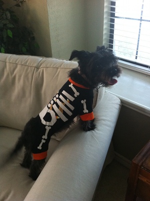 halloweenizzy